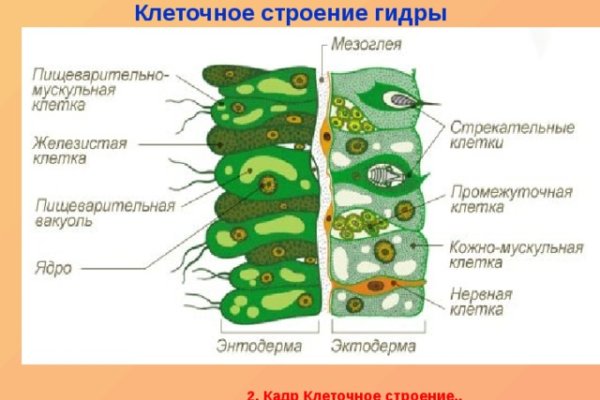 Не могу зайти в аккаунт кракен