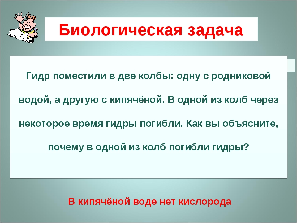 Darknet ссылки