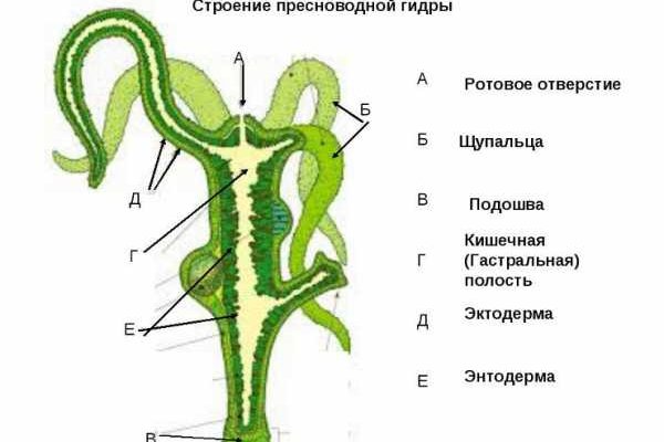 Kraken ссылка зеркало официальный сайт