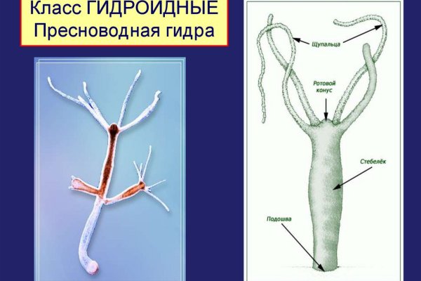 Не приходят деньги на кракен